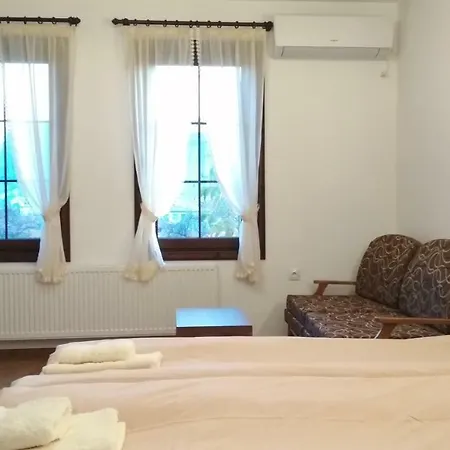 боримечковата къща 招待所 3*