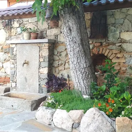 боримечковата къща 招待所 卡洛费尔