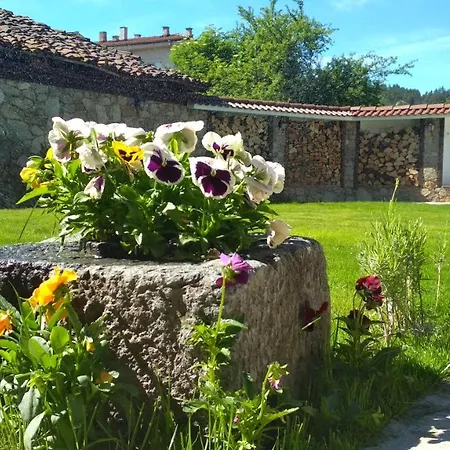 боримечковата къща 招待所 卡洛费尔