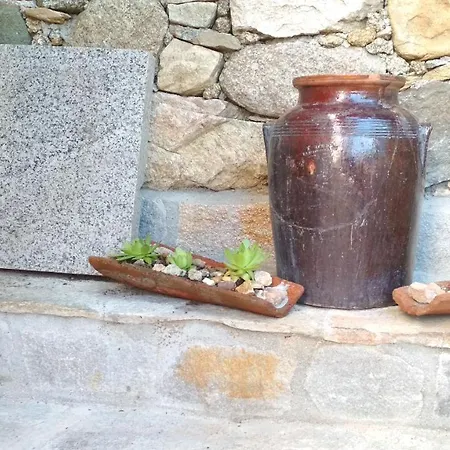 боримечковата къща 招待所 3*