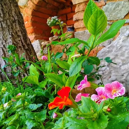 боримечковата къща 招待所 卡洛费尔