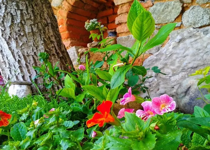 боримечковата къща Affittacamere Kalofer